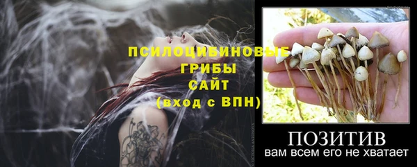 трава Нефтегорск