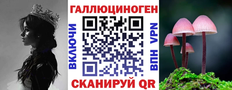 Галлюциногенные грибы MAGIC MUSHROOMS  наркошоп  Нижнеудинск 