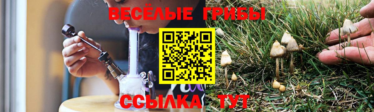 Псилоцибиновые грибы прущие грибы Нижнеудинск