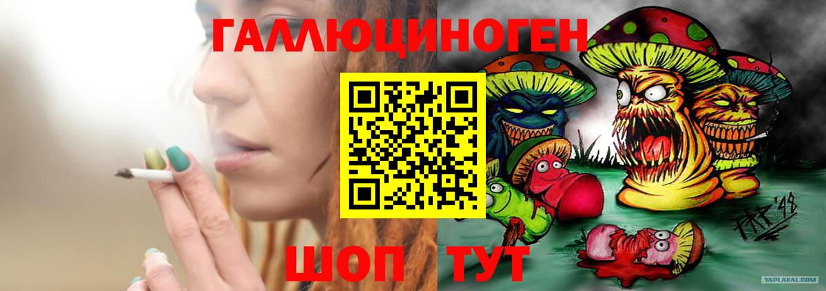 Галлюциногенные грибы Magic Shrooms  Вход с VPN  сколько стоит  Нижнеудинск 